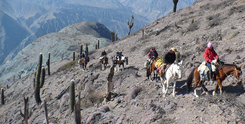 D03 Argentine S 3.jpg